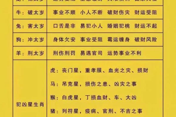 属蛇与属兔是否是理想伴侣