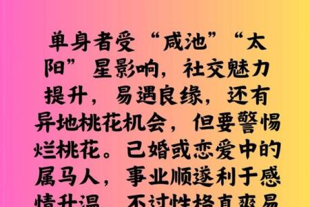 本命年属马如何保持生活与工作平衡