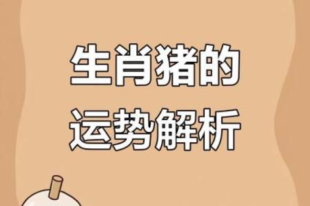 属猪财运与事业运势详解