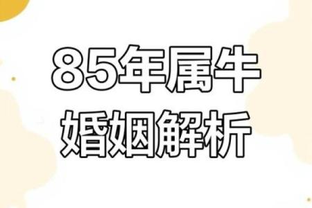 属牛与麒麟的命运交织：运势与建议