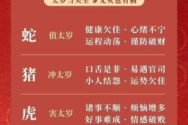 属蛇万年历：2023年运势详解，揭秘你的运势密码
