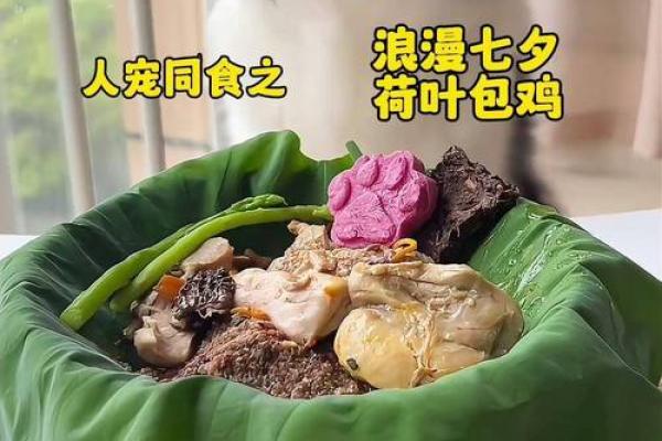 探索鸡与狗的相处之道