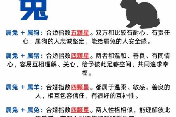 兔与羊的缘分如何 看生肖搭配带来的影响