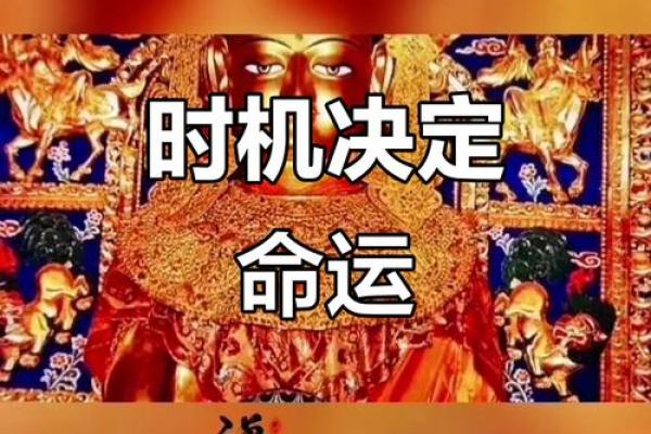 命运解读：如何把握这一年的运势