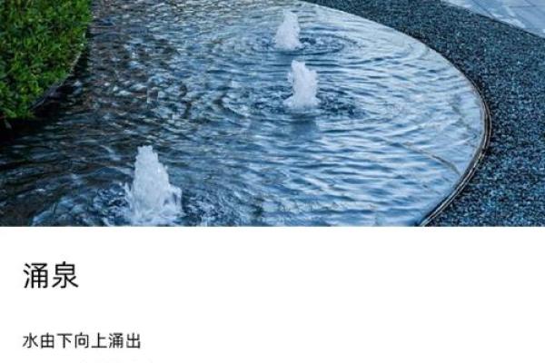 如何利用小区水景提升居住环境的风水运势