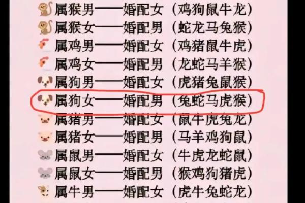 猪与哪些属相最为相配，打造和谐关系的最佳搭配