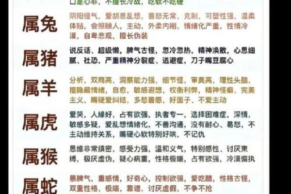 猪与哪些属相最为相配，打造和谐关系的最佳搭配