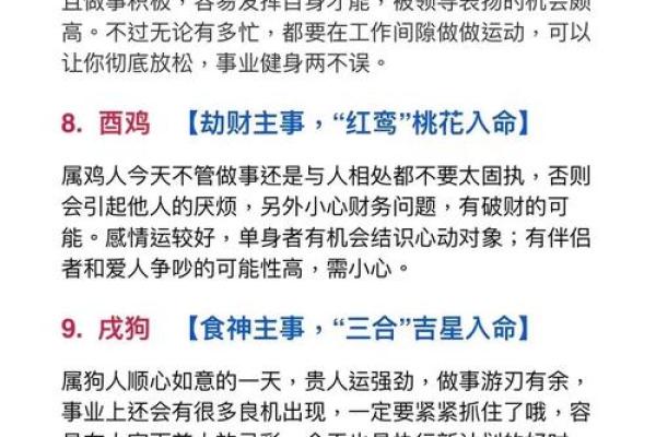 二生肖运程看点：如何应对生活中的挑战
