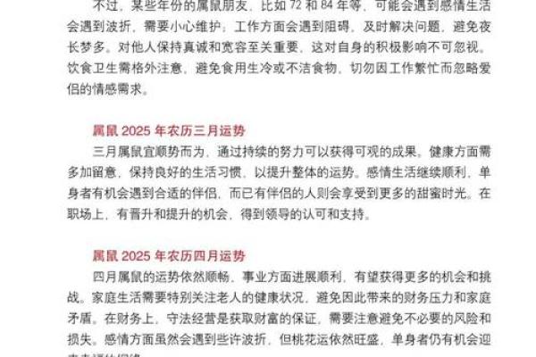 本命年属鼠如何规划未来几年的职业道路