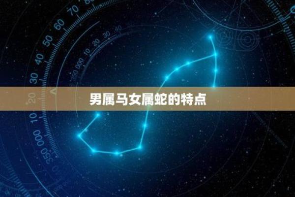属蛇男和属马女的感情发展前景