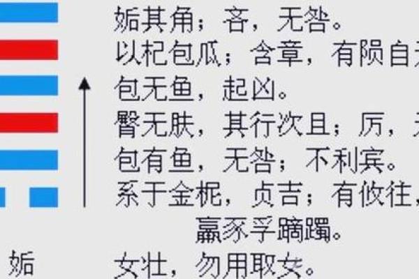 命与运的深刻解读：两者有何区别与联系
