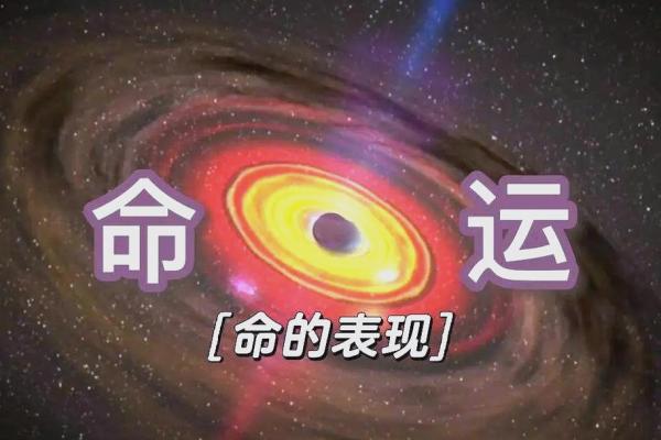 命与运的深刻解读：两者有何区别与联系