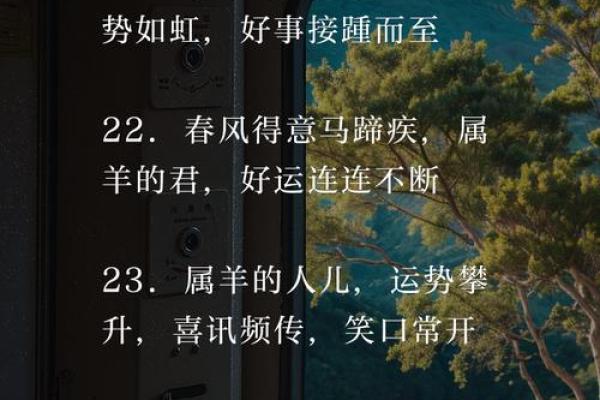 属羊人全年运程概览
