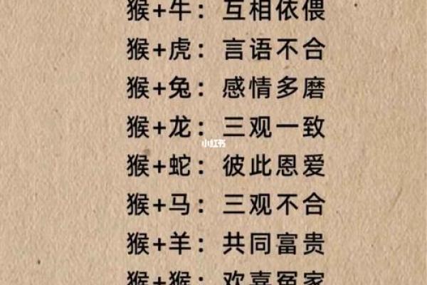 鼠与猴的配对：缘分深厚还是相克相害