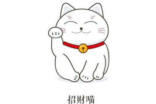 选对招财钱包 风水助你财运亨通