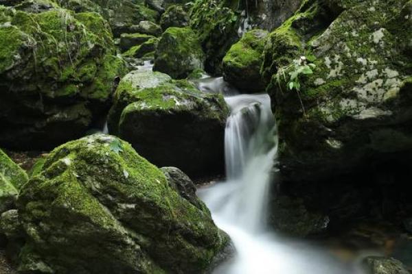 水之韵：让公司名字如流水般自然流畅