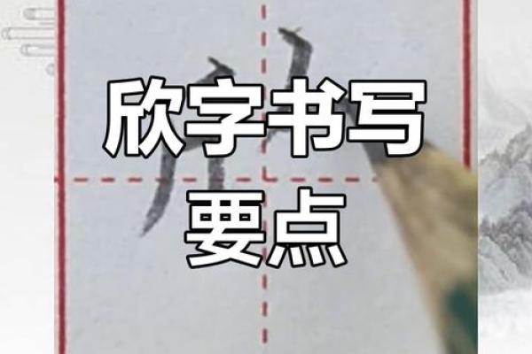 如何通过欣字为名字增添吉祥与活力
