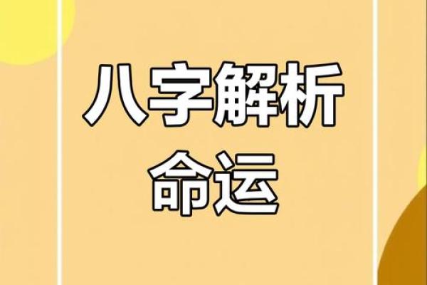 命理学入门：了解你的命运与个性