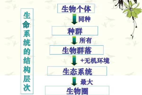 命运中的动物象征：解读命与生物的深层联系