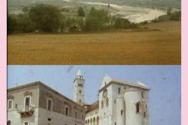 1960年历：穿越时空的时光之旅