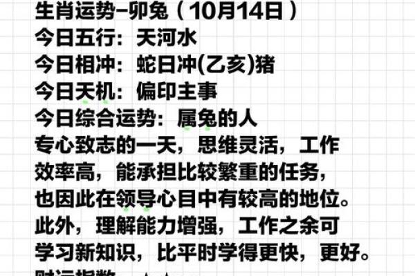 属兔人在的运势变化