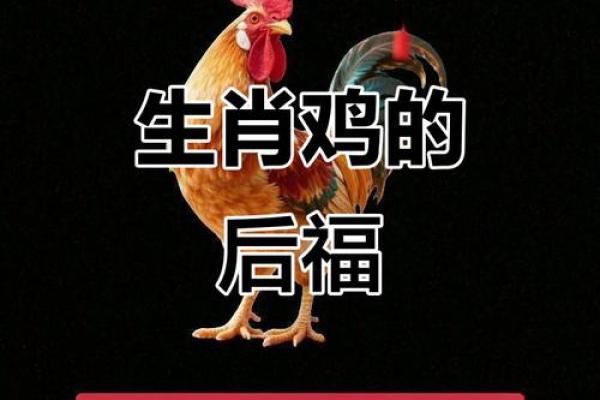 属鸡每月运势大揭秘：如何在不同月份抓住好运