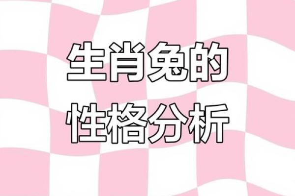 牛兔配对婚姻能否长久？性格差异与调和技巧