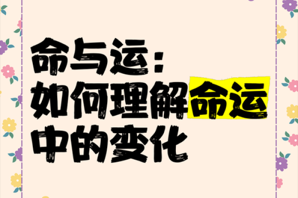 命什么是什么意思的深入解析与理解