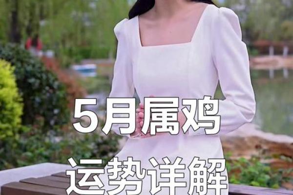 属鸡人运势解析：事业与爱情的双重挑战