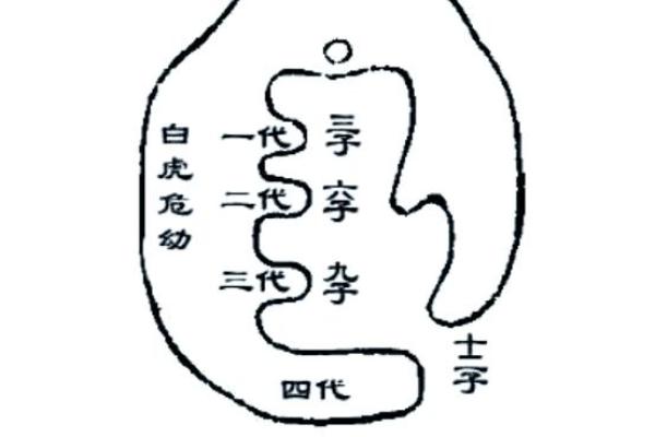 阴宅风水揭秘：为什么白虎比青龙长对风水有重要影响