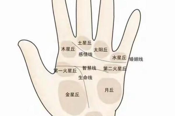 生肖八字与每日运程：揭开命运的面纱，掌控人生走向