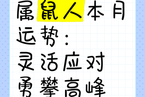 属鼠的人在如何应对挑战与机遇