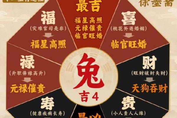 本命年兔女应该注意的五大事项