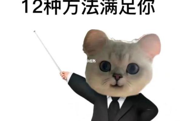 打造独特盟名字的创意方法