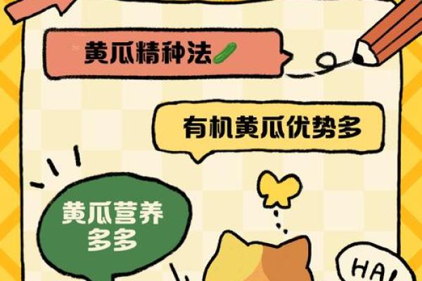 如何通过黄瓜名字了解其独特特性