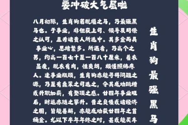 属狗人公司起名的最佳选择与禁忌解析
