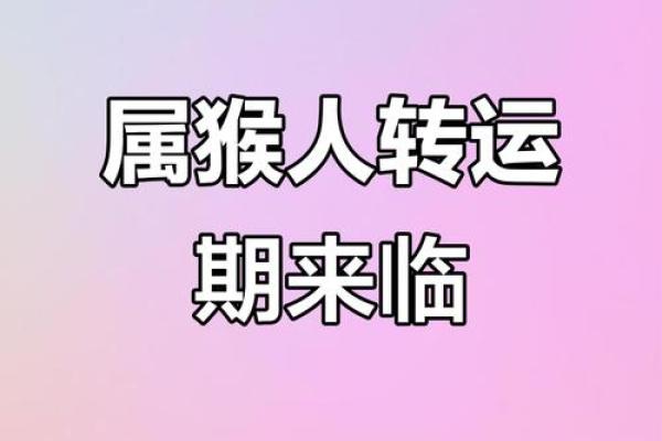 今日运程揭秘：属猴者的财运与感情运势
