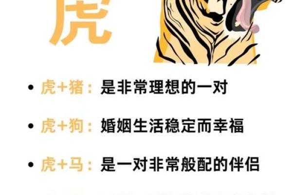 虎与鸡的配对是否和谐？揭秘生肖相合的奥秘