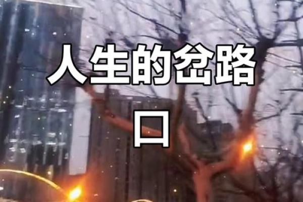 命运的交汇点与人生选择