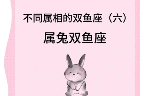 属鼠男与属兔女的性格互补与挑战