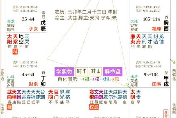 命运揭秘：这一年出生的人命理分析