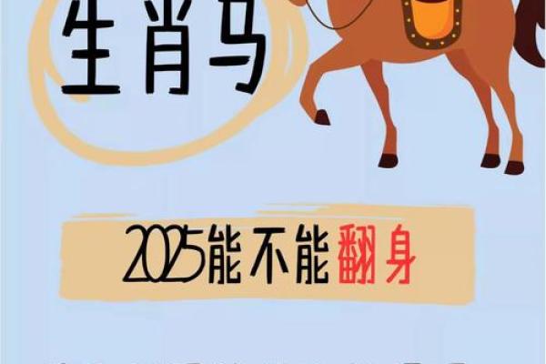 属马人士每月运程详解，助你规划未来