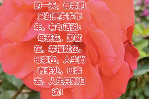农历母亲节日期你了解吗？快来看看