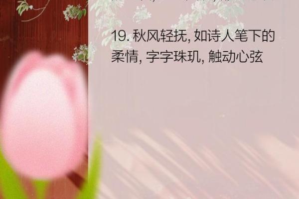 为女孩取名带暖字，展现温暖与柔情