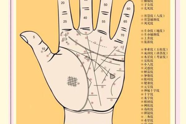 命运归属是什么样的命运解析
