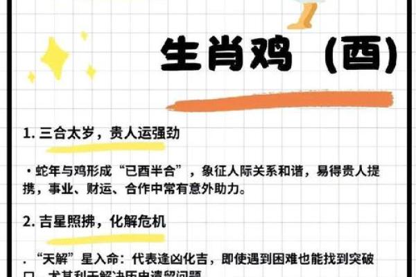 蛇和鸡的生肖配对分析：是否合适？