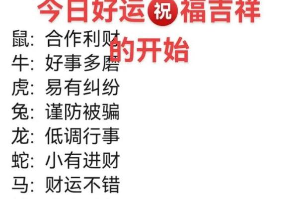 本命年猪男适合做哪些投资决策