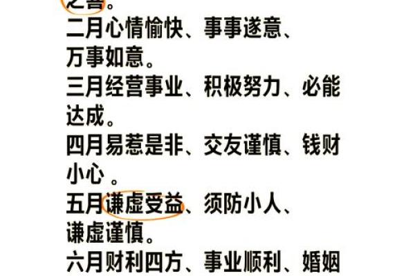 本命年猪男适合做哪些投资决策