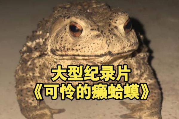 独特又吸引眼球的养蟾蜍公司命名策略