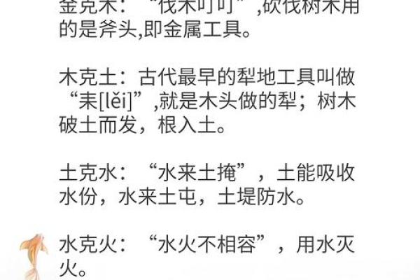 揭秘仅五行是，背后的深刻意义